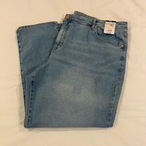 Terra & Sky straight leg jeans in a light wash 24W Petite